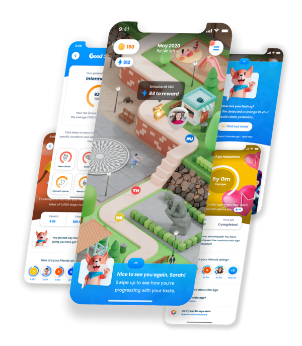 H&E App3
